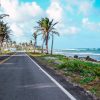 Comment choisir votre véhicule de location pour votre semaine sur l’île de la Martinique ?