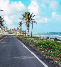 Comment choisir votre véhicule de location pour votre semaine sur l’île de la Martinique ?