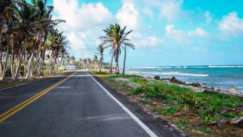 Comment choisir votre véhicule de location pour votre semaine sur l'île de la Martinique ?